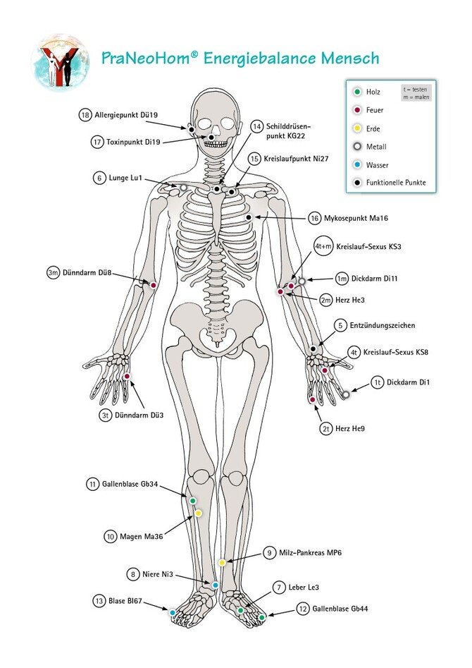 Akupunktur-Tafel Mensch