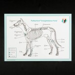 Akupunktur-Tafel Hund